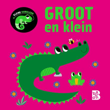 Cover van Kleine kameleon: groot en klein