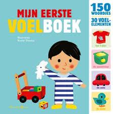 Mijn eerste voelboek