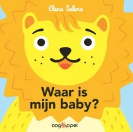 Cover van Waar is mijn baby?